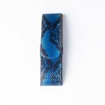 F-50/48 Leather glasses case (Snake)_Acropolis_Ukraine